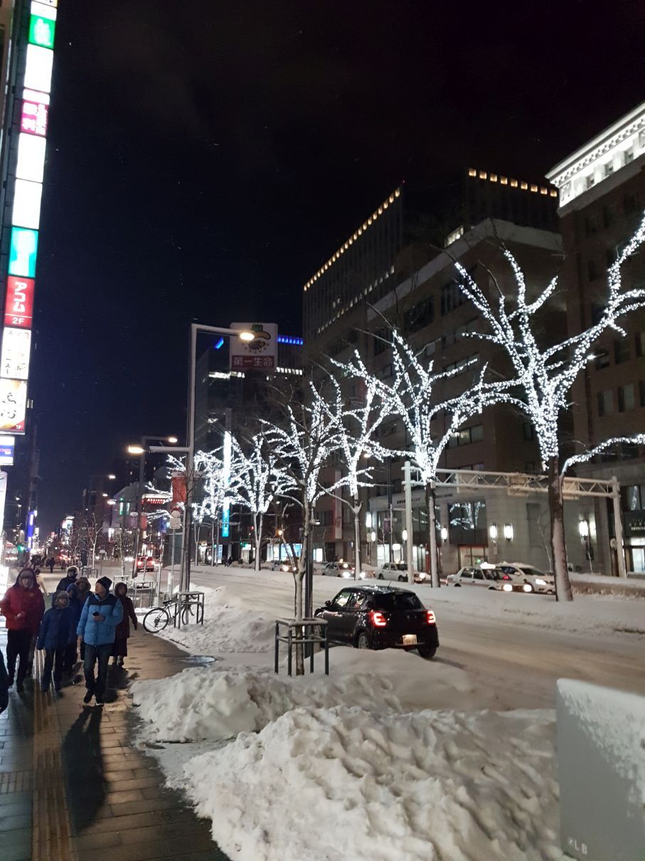 Streets of Sapporo