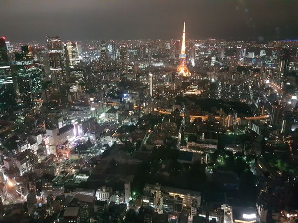 Meeting the Japanese Buddha in Tokyo